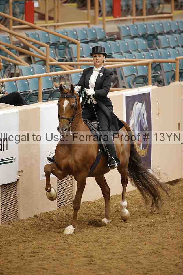 Proof 13yn_05077
