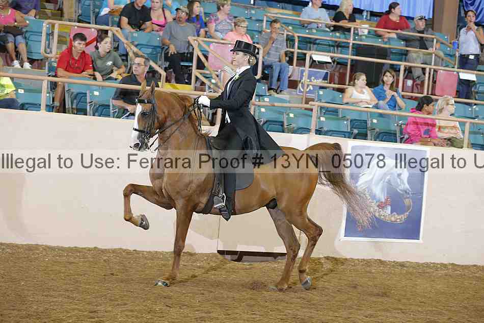 Proof 13yn_05078