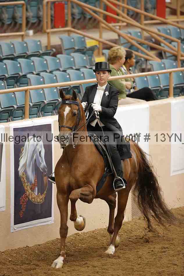 Proof 13yn_05079