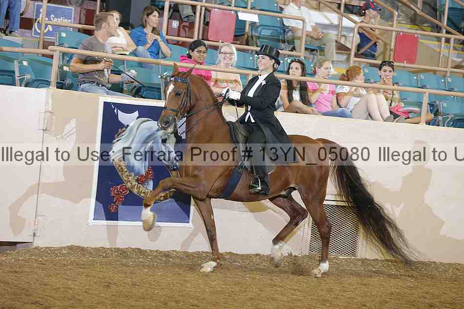 Proof 13yn_05080