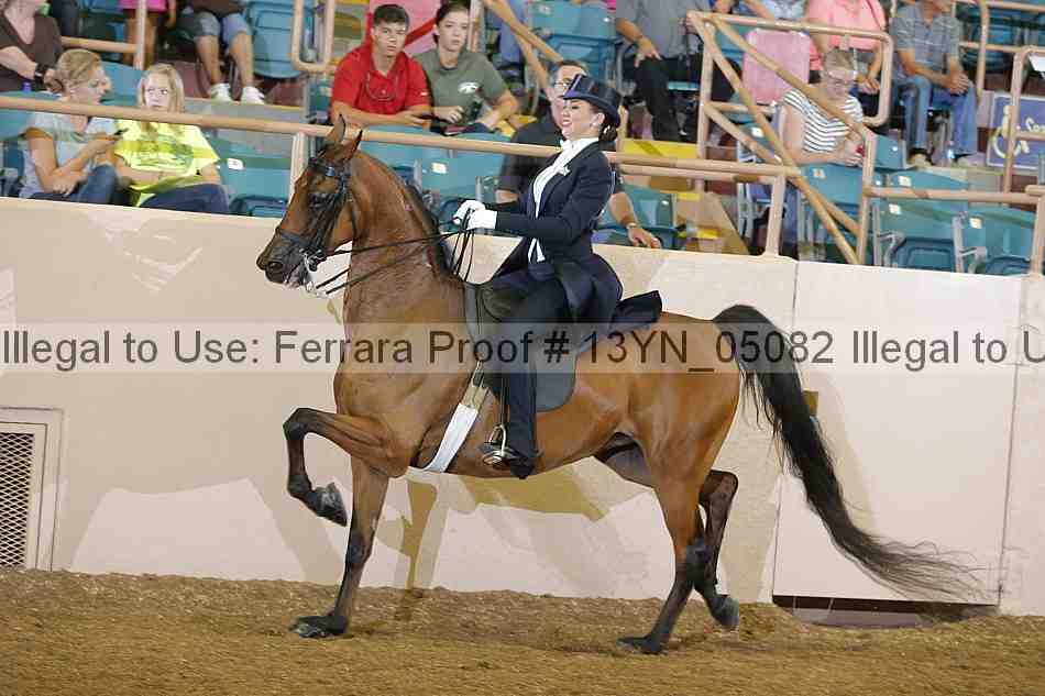 Proof 13yn_05082