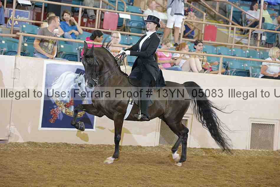 Proof 13yn_05083