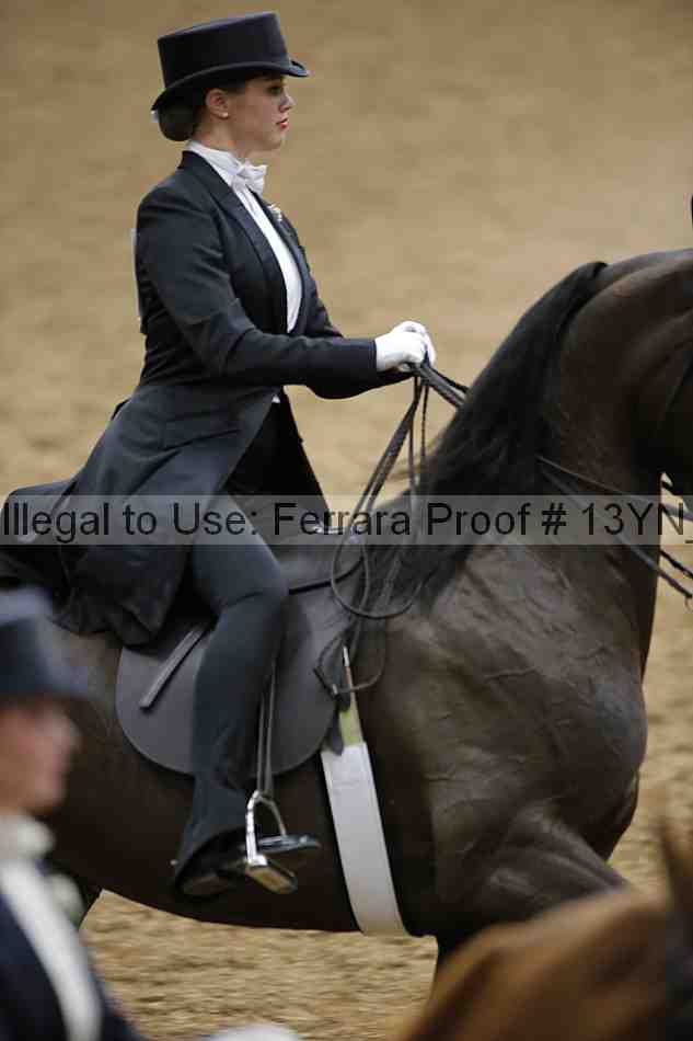Proof 13yn_05084