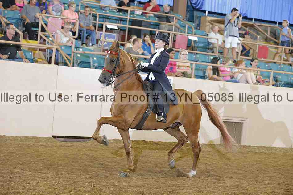 Proof 13yn_05085