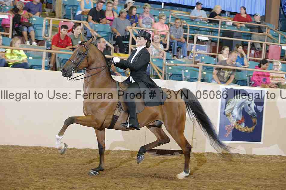 Proof 13yn_05086