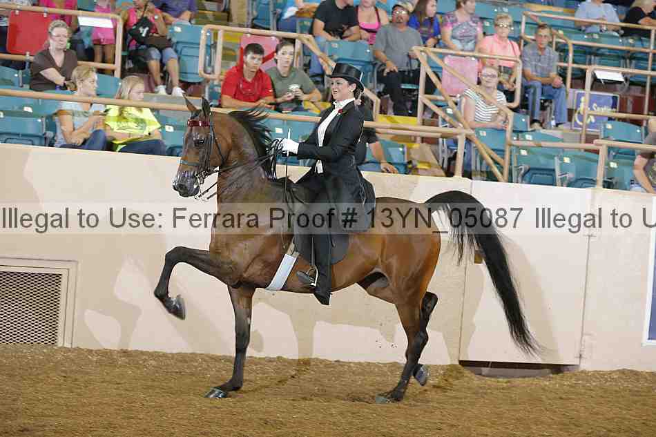 Proof 13yn_05087