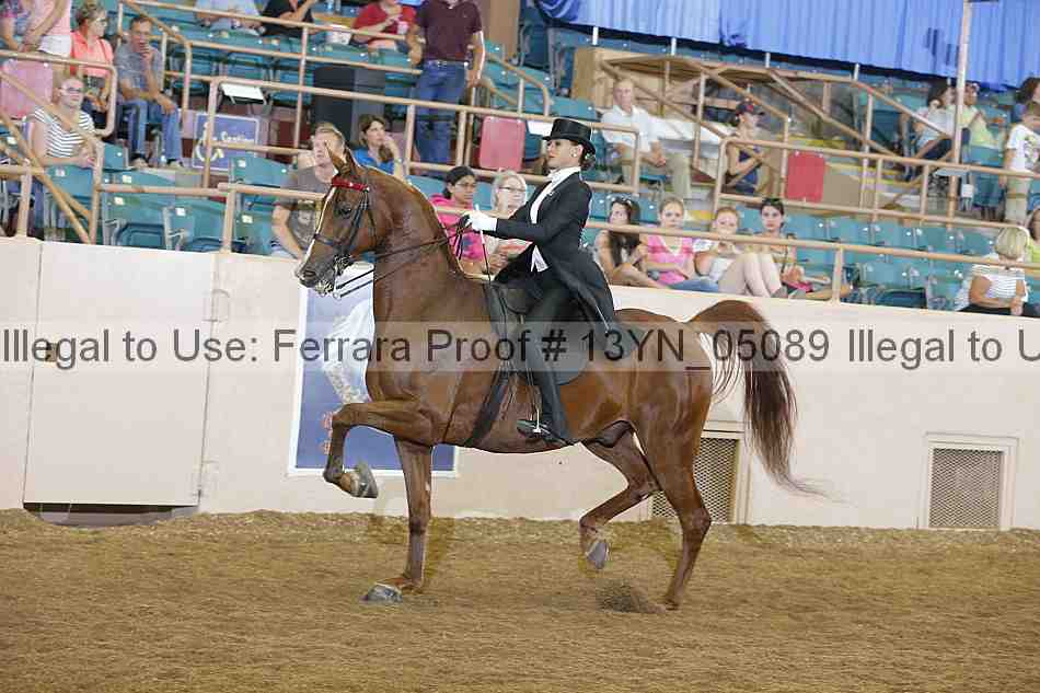 Proof 13yn_05089