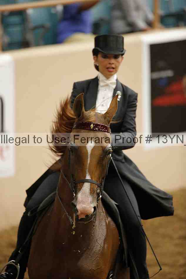Proof 13yn_05090