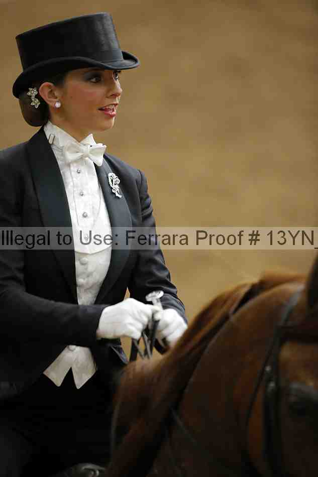 Proof 13yn_05091