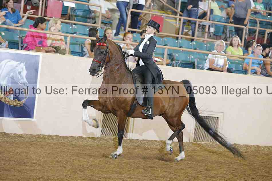 Proof 13yn_05093
