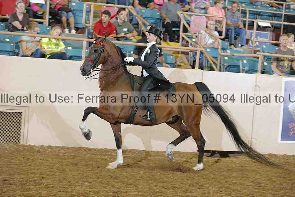 Proof 13yn_05094