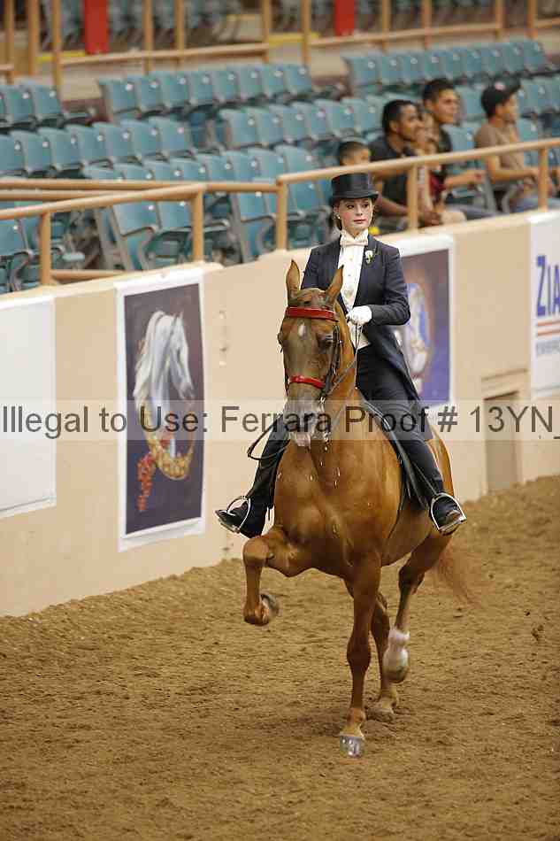 Proof 13yn_05095