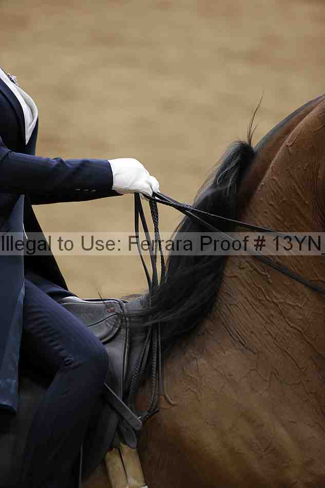 Proof 13yn_05096