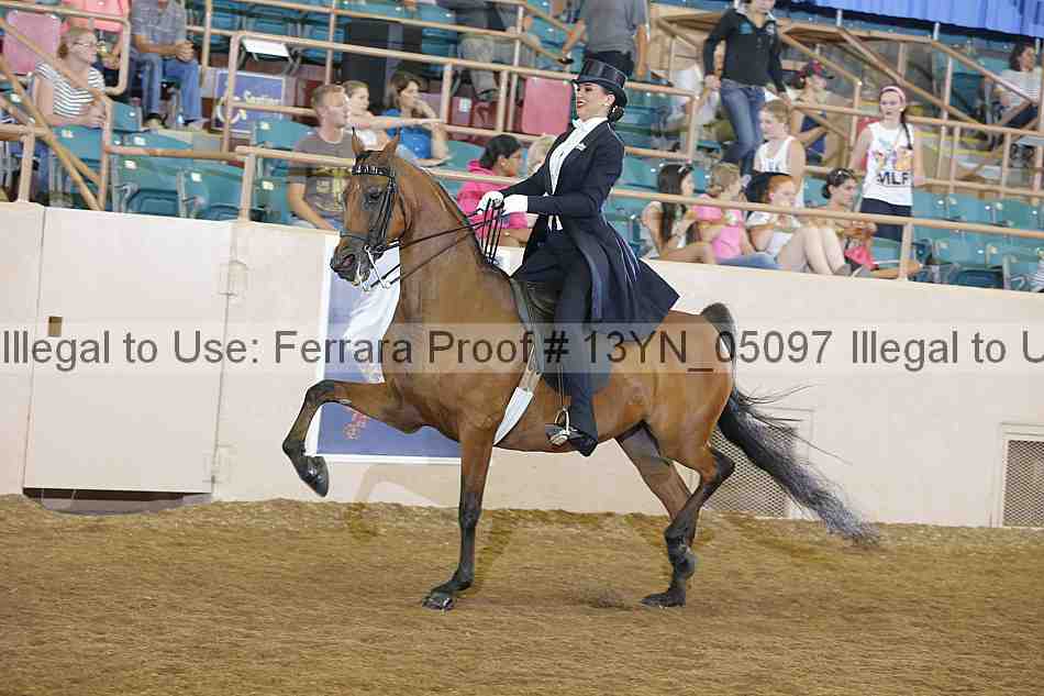 Proof 13yn_05097