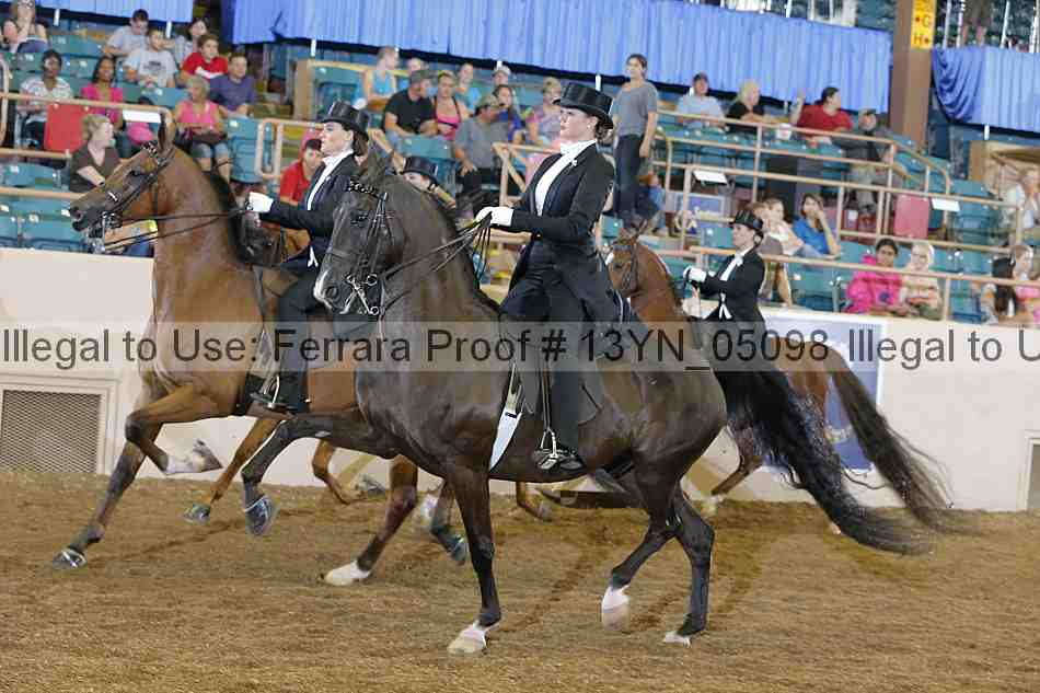 Proof 13yn_05098