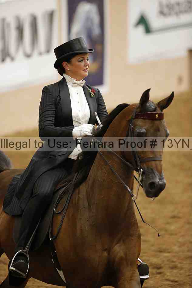 Proof 13yn_05102