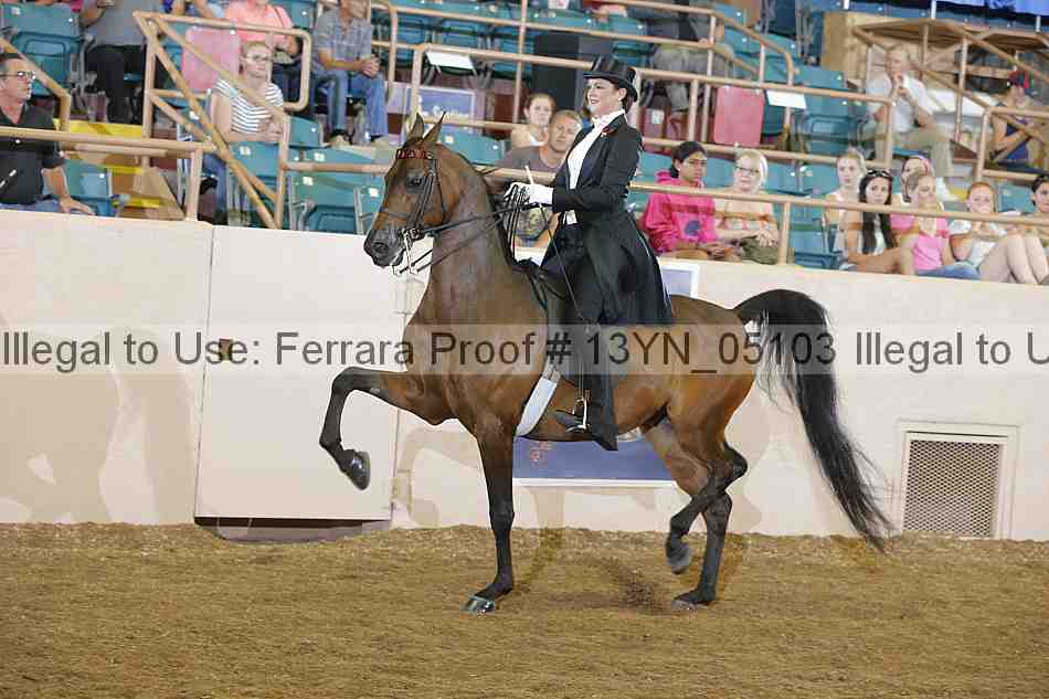 Proof 13yn_05103