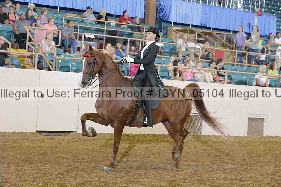 Proof 13yn_05104