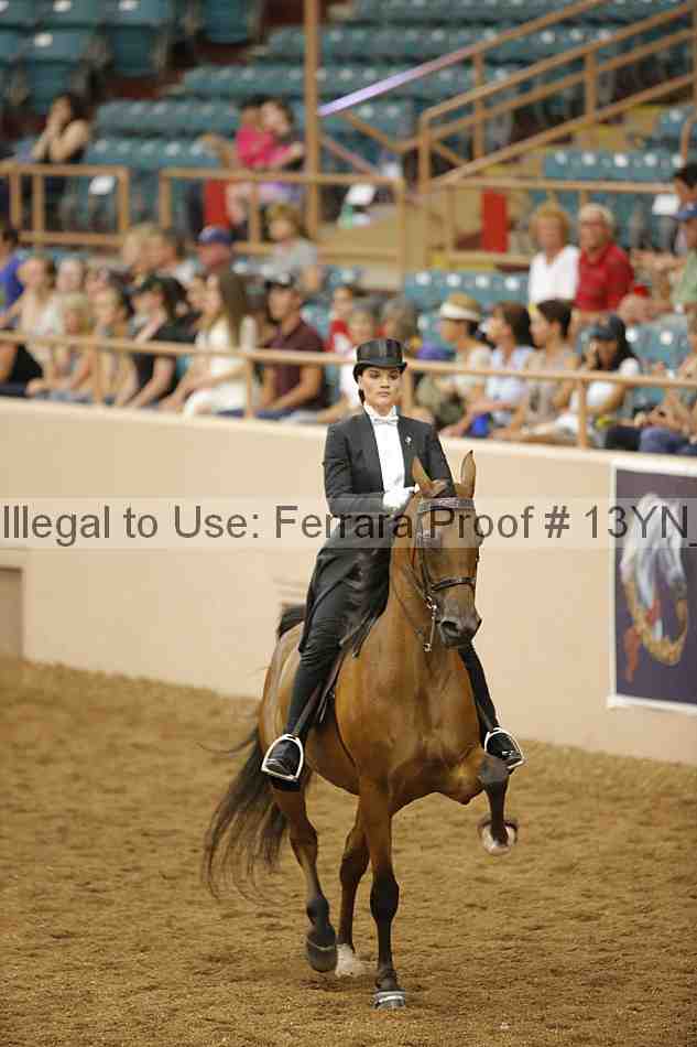 Proof 13yn_05108