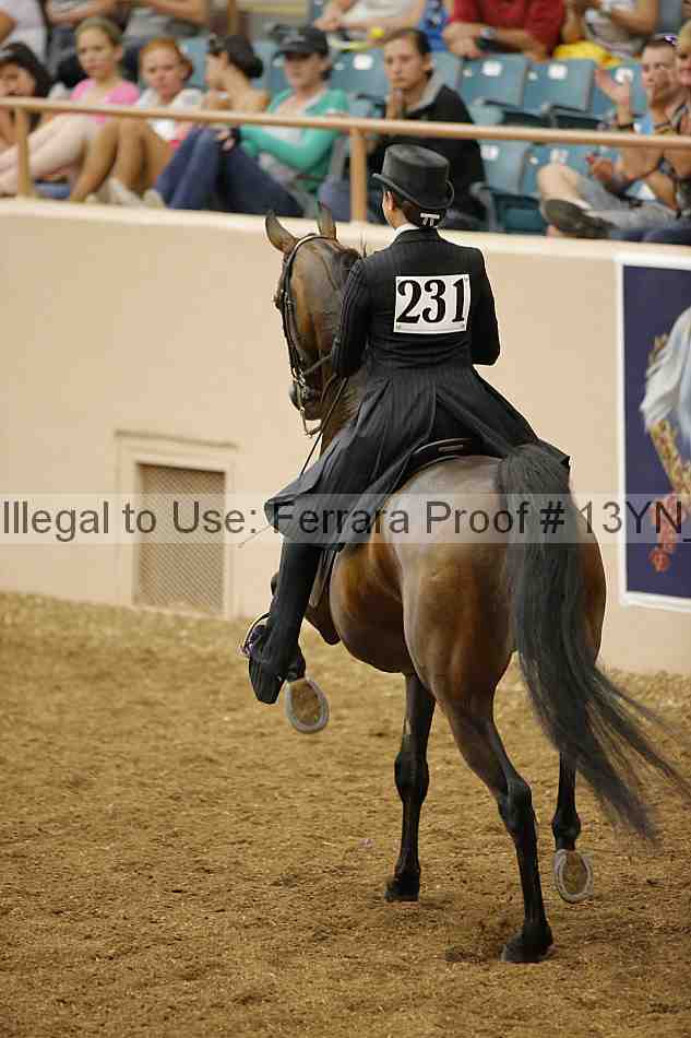 Proof 13yn_05109