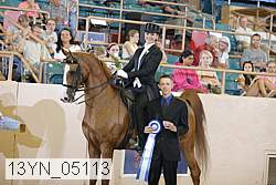 13yn_05113 proof