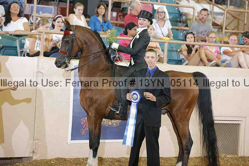 Proof 13yn_05114