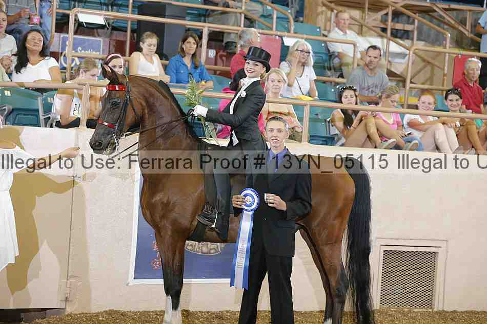 Proof 13yn_05115