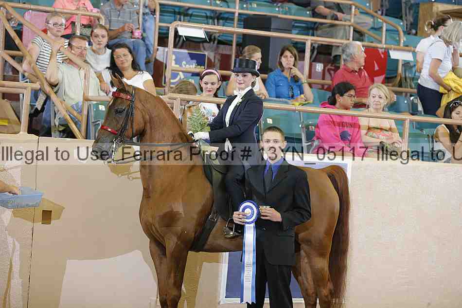 Proof 13yn_05117