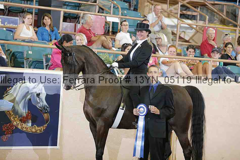 Proof 13yn_05119
