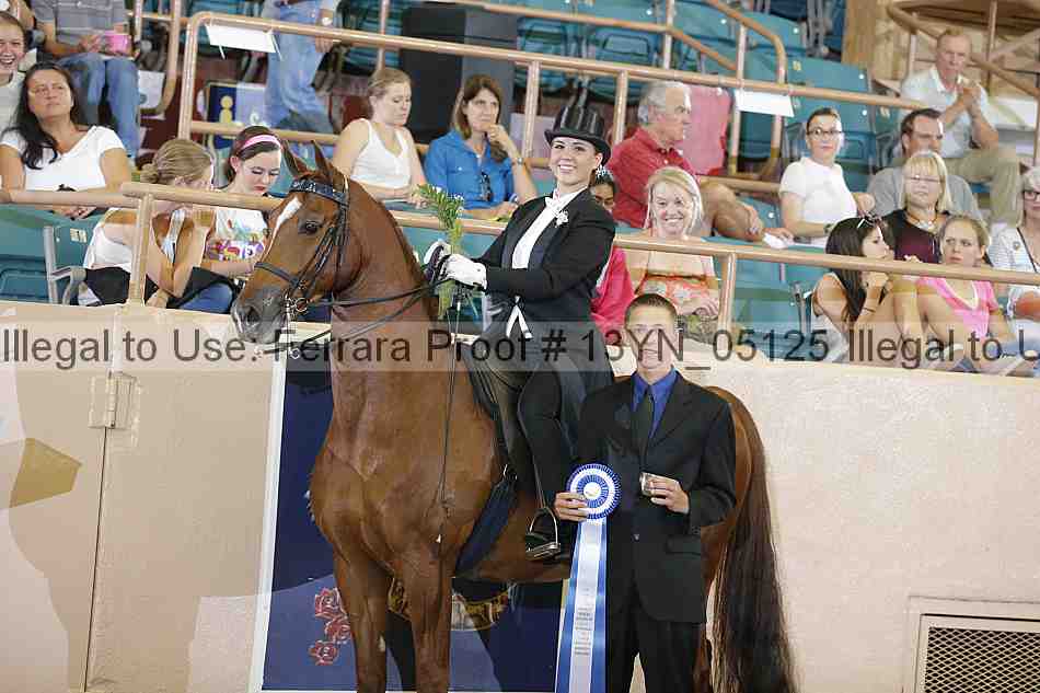 Proof 13yn_05125