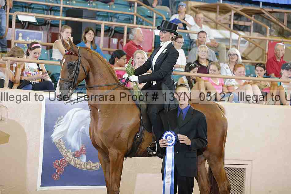 Proof 13yn_05127