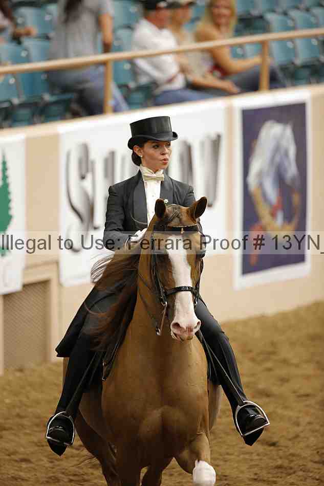 Proof 13yn_05138