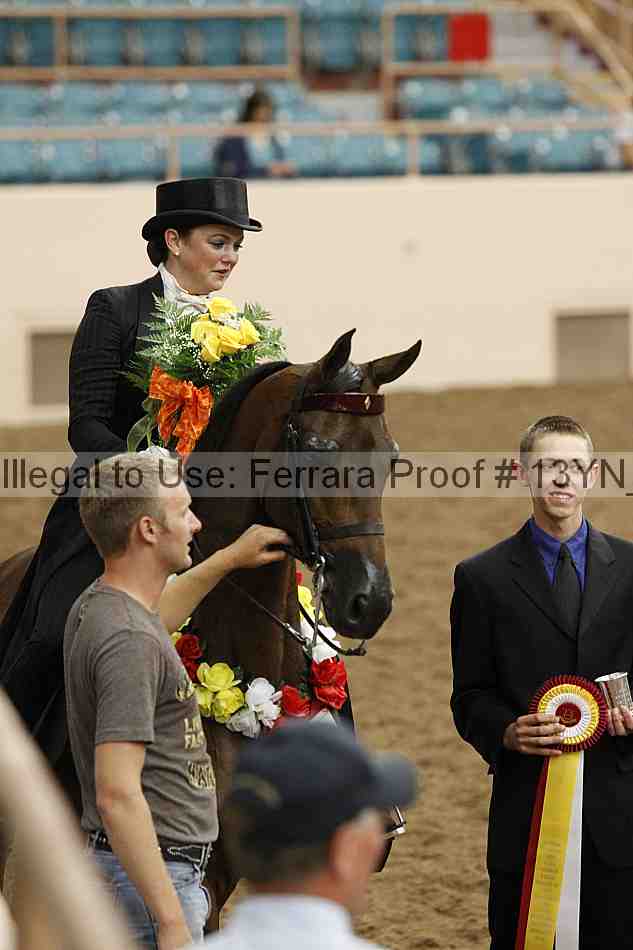 Proof 13yn_05156