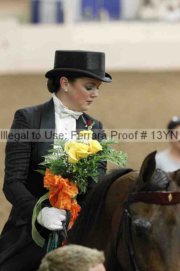 Proof 13yn_05166