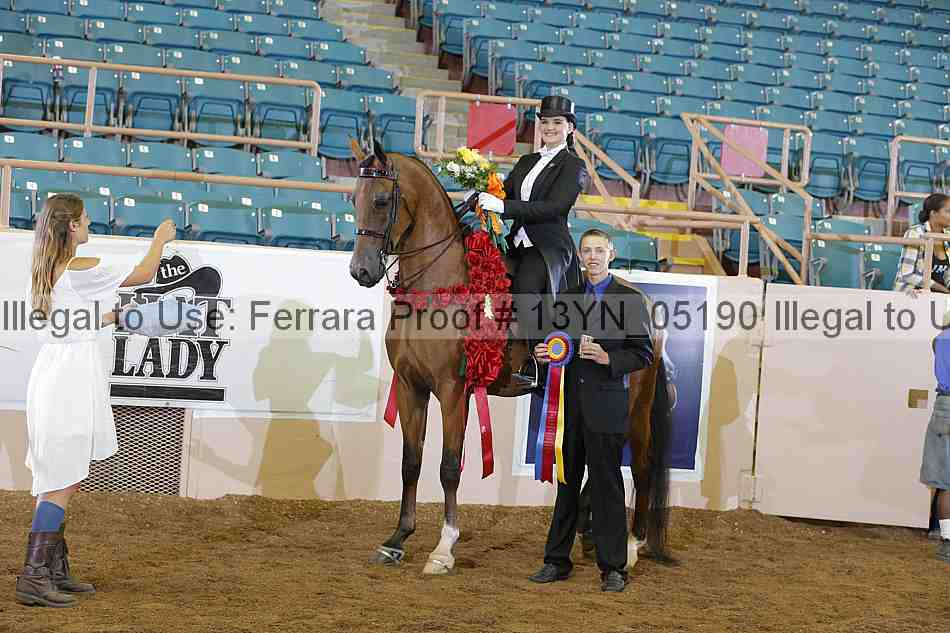 Proof 13yn_05190