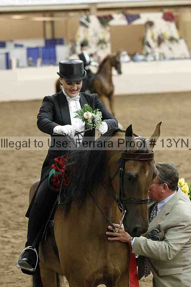 Proof 13yn_05191
