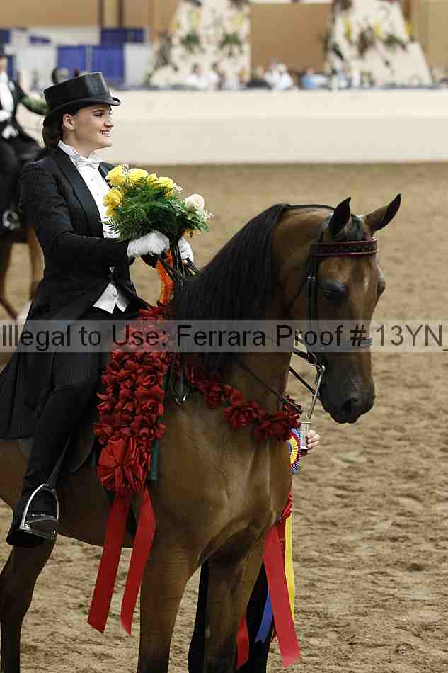 Proof 13yn_05205