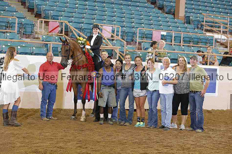 Proof 13yn_05207