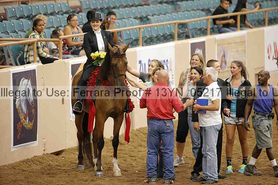 Proof 13yn_05217