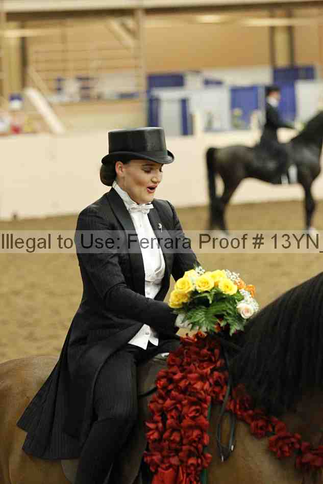 Proof 13yn_05228