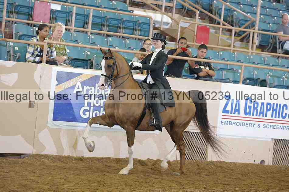 Proof 13yn_05239
