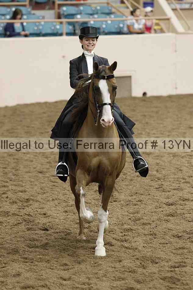 Proof 13yn_05242
