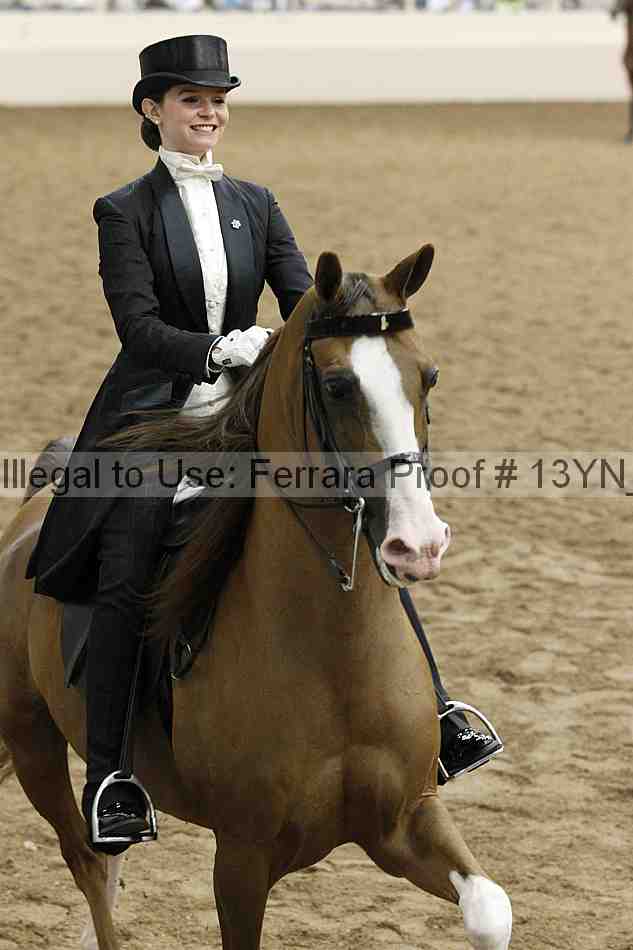 Proof 13yn_05243