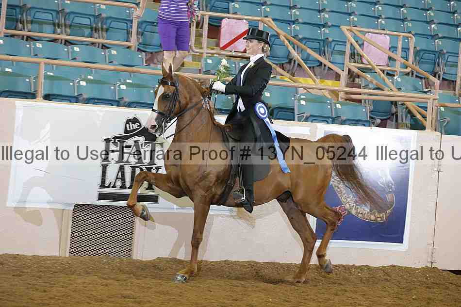Proof 13yn_05244