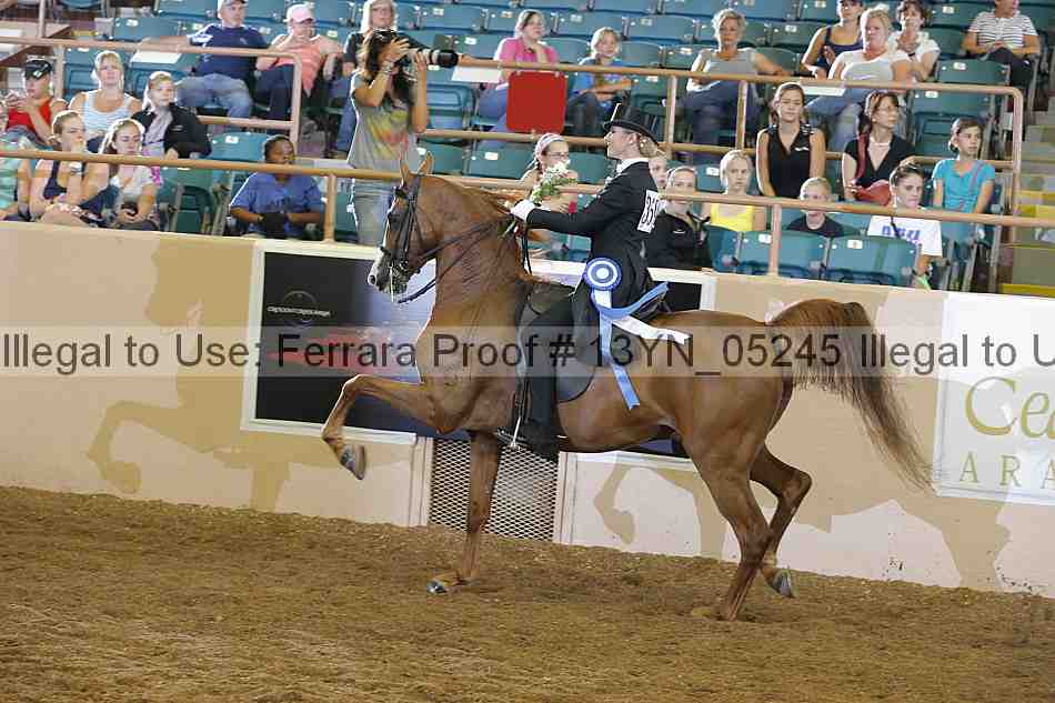 Proof 13yn_05245