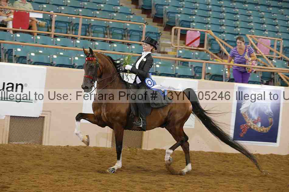 Proof 13yn_05246