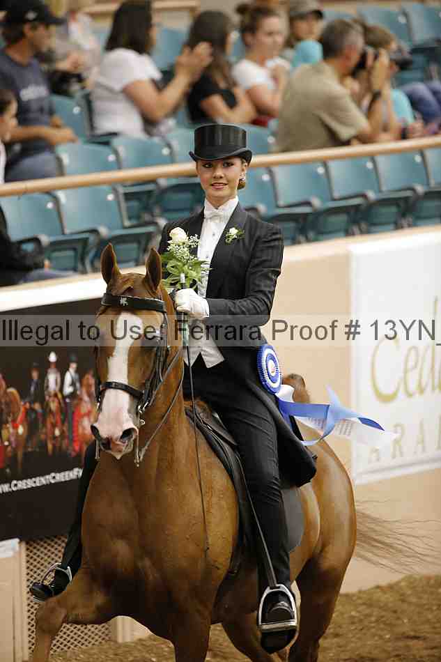 Proof 13yn_05248