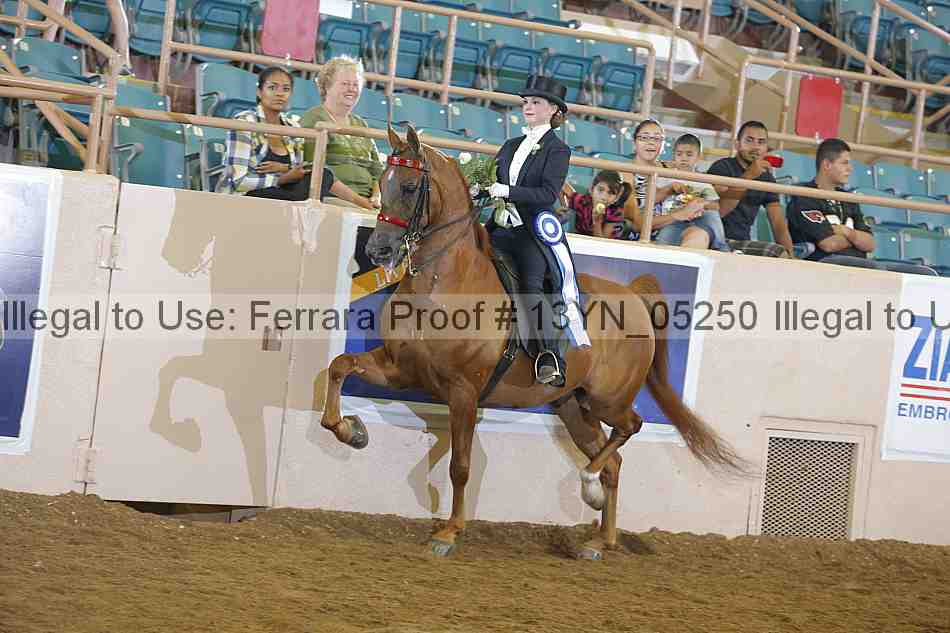 Proof 13yn_05250