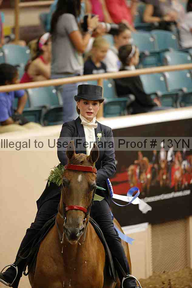 Proof 13yn_05257