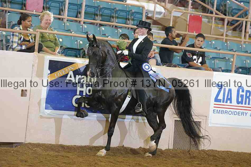 Proof 13yn_05261